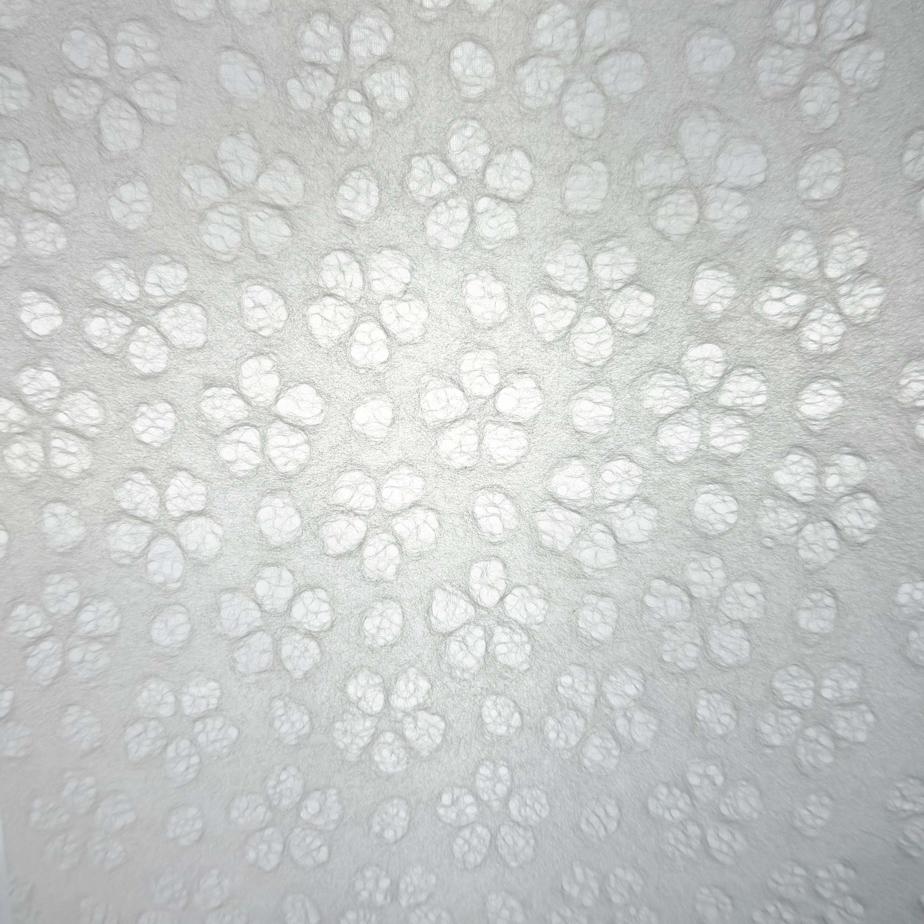 届いた瞬間、春が舞い込む。HARUMEKIが「土佐和紙」の包装に込めた、もう一つのストーリー